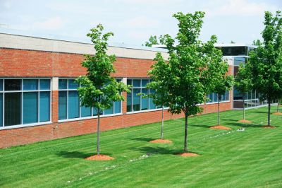 Commercial Lawn - Commercial Landscaping Avon, New York