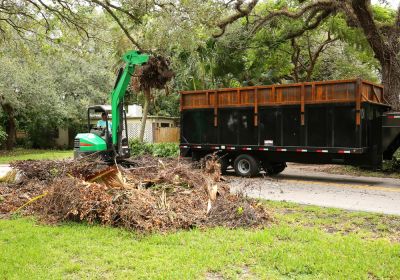 Debris Removal - Tree Landscaping Berkeley County, West Virginia