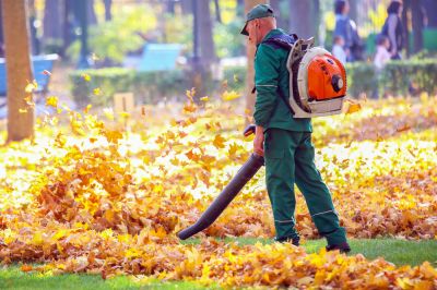 Fall Yard Cleanup