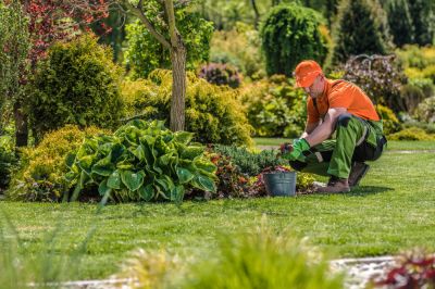 JW Landscaping Service