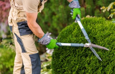 JW Landscaping Service