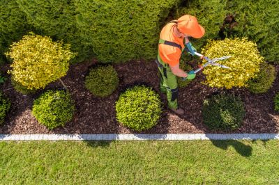 JW Landscaping Service