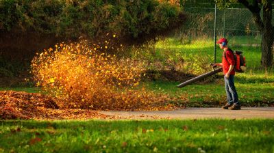 JW Landscaping Service
